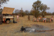 Botswana - Safari guidé en bivouac  - Bush Ways Safaris