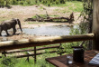 Botswana - Chobe Savuti - Savute Safari Lodge