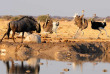 Botswana ©Shutterstock, Stephanie Periquet