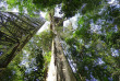 Equateur - Amazonie - croisière sur le Manatee Amazon Explorer