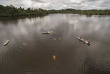 Equateur - Amazonie - croisière sur le Manatee Amazon Explorer