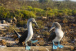 Equateur - Galapagos