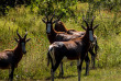 Eswatini ©Shutterstock, John Donovan De Vries