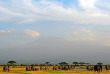 Kenya - Parc national Amboseli © Shutterstock, attila jandi