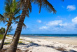 Kenya - Mombasa - Diani Beach - ©shutterstock, eduard kyslynskyy