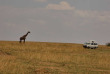 Kenya - Minibus 4x4