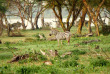 Kenya - Lake Naivasha