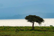 Kenya - Lake Naivasha 