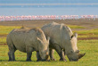 Kenya - Lake Nakuru - ©shutterstock, javarman