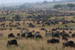 Kenya - Masai Mara © Shutterstock, Photolukacs