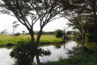 Kenya - Masai Mara - Naboisho Conservancy - Basecamp Eagle View