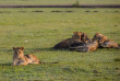 Kenya - Masai Mara - Naboisho Conservancy - Basecamp Eagle View