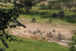 Kenya - Masai Mara - Naboisho Conservancy - Basecamp Eagle View