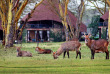 Kenya - Lac Naivasha - Naivasha Sopa Lodge