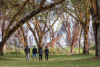 Kenya - Naivasha Sopa Lodge