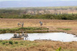 Kenya - Lake Nakuru Lodge