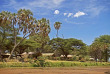 Kenya - Samburu - Elephant Bedroom Camp