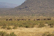 Kenya - Samburu - Elephant Bedroom Camp