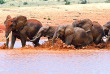 Kenya - Tsavo © Shutterstock, eduard kyslynskyy