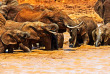 Kenya - Tsavo ©Shutterstock, eduard kyslynskyy