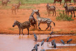 Kenya - Tsavo © Shutterstock, andrzej kubik