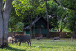 Malawi - Liwonde National Park - Mvuu Camp