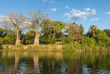 Malawi - Liwonde National Park - Mvuu Camp