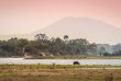 Malawi - Parc national de Liwonde ©Shutterstock, Roel Van Der Krabben