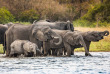 Malawi - Parc national de Liwonde ©Shutterstock, Radek Borovka