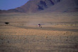 Namibie - Namib - Sossusvlei Desert Lodge