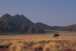 Namibie - Namib - Sossusvlei Desert Lodge