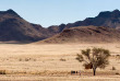 Namibie - Namib - Sossusvlei Desert Lodge