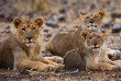 Namibie - Damaraland - Grootberg Lodge
