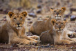 Namibie - Damaraland - Grootberg Lodge