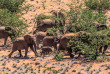 Namibie - Damaraland - Grootberg Lodge