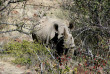 Namibie - Damaraland - Grootberg Lodge