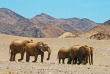 Namibie - Damaraland - Khowarib Lodge