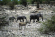 Namibie - Damaraland - Namibia Tourism Board