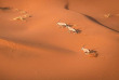 Namibie - Désert du Namib, Sossusvlei, Dunes ©Shutterstock, Janelle Lugge