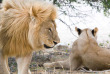 Namibie - Parc national d'Etosha - Mushara Bush Camp