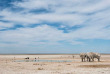 Namibie - Parc national d'Etosha - Ongava tented Camp