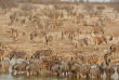 Namibie - Parc national d'Etosha - Ongava tented Camp