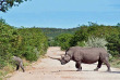 Namibie - Parc national d'Etosha - Ongava tented Camp