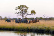 Namibie - Kongola - Bande de Caprivi - Namushasha River Lodge - Gondwana Collection