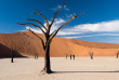 Namibie - Parc national Namib-Naukluft - Desert du Namib - Sesriem - Whisper Lodge - Gondwana Collection