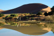 Namibie - Parc national Namib-Naukluft - Desert du Namib - Kulala Desert Lodge - Wilderness Safaris