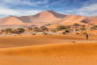 Namibie - Désert du Namib - Dunes de Sossusvlei ©Shutterstock, Kanuman
