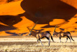 Namibie - Parc national Namib-Naukluft - Oryx ©shutterstock, Radek Borovka