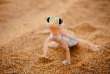 Circuit Du Namib aux Chutes Victoria en camping ©Shutterstock, Fotografie Kuhlmann