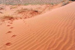 Namibie - Réserve naturelle de Namibrand - Randonnée guidée Tok Tokkie Trails